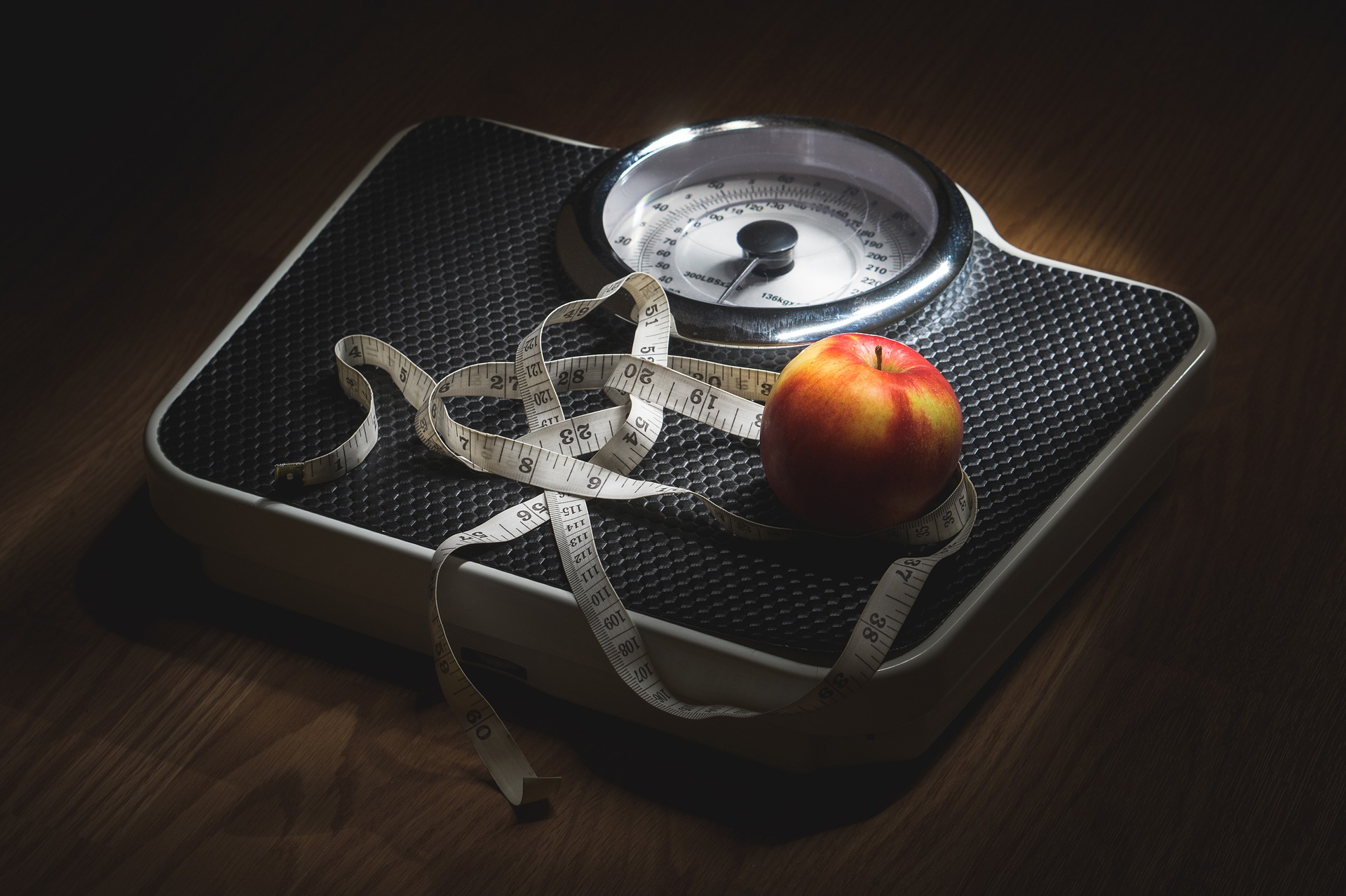 Curso Experto en el tratamiento dietético del sobrepeso y obesidad – Descuento para socios